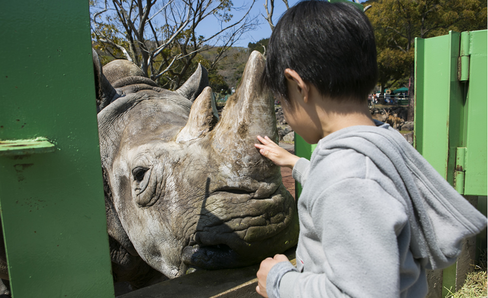 伊豆アニマルキングダム